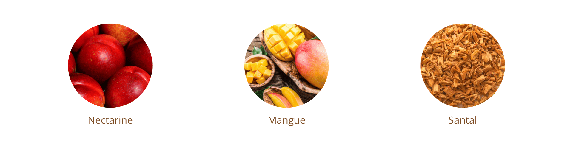 concentré aromatique huile monoi mangue